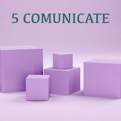 pachet 5 comunicate de presa