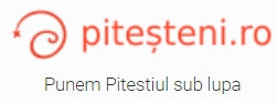 pitesteni.ro_.jpeg